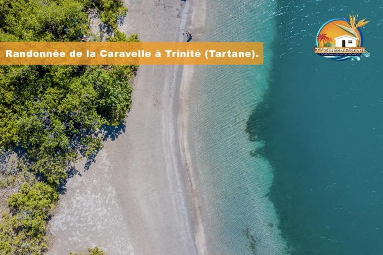 F3 Hibiscus - Piscine Chauffee - Vue Mer - 9 Min De La Plage - Ti Zwezo Paradi 拉特里尼泰 外观 照片