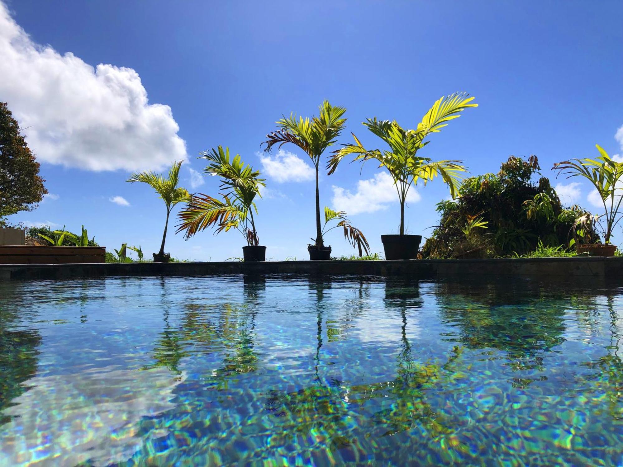 F3 Hibiscus - Piscine Chauffee - Vue Mer - 9 Min De La Plage - Ti Zwezo Paradi 拉特里尼泰 外观 照片