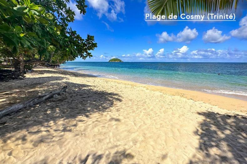 F3 Hibiscus - Piscine Chauffee - Vue Mer - 9 Min De La Plage - Ti Zwezo Paradi 拉特里尼泰 外观 照片