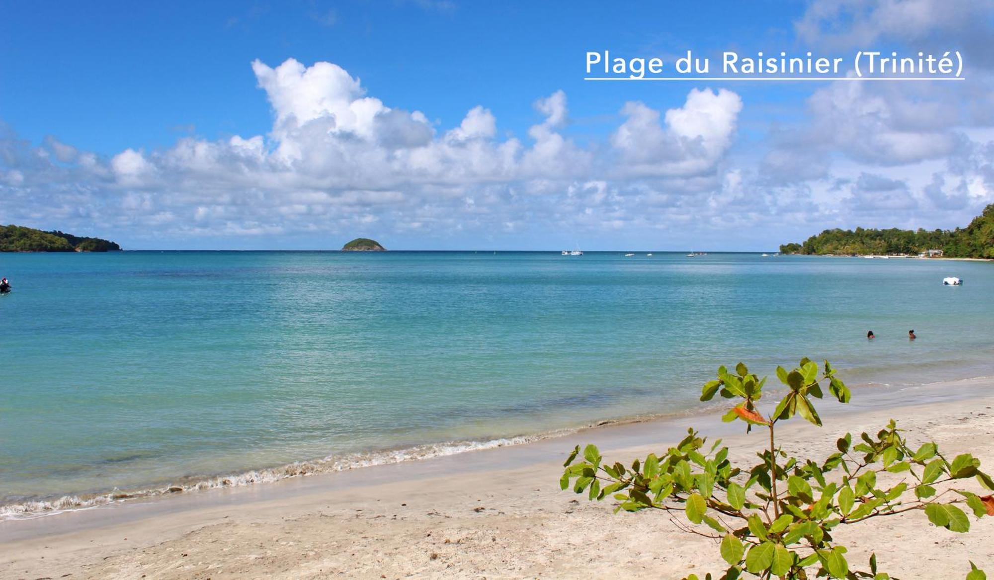 F3 Hibiscus - Piscine Chauffee - Vue Mer - 9 Min De La Plage - Ti Zwezo Paradi 拉特里尼泰 外观 照片